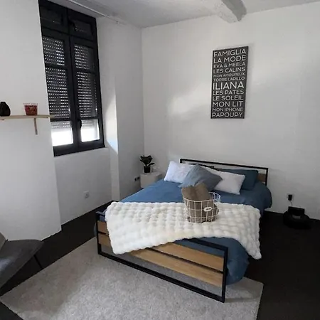 Le Loft Urbain I Rooftop De 60m2 * Montauban